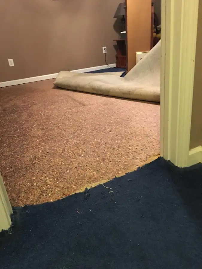Carpet pad removal revealing water damage during Drying & Dehumidification in Marion Oaks
